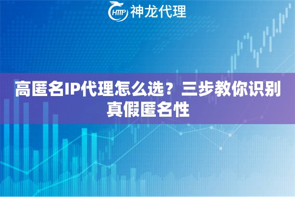 高匿名IP代理怎么选？三步教你识别真假匿名性