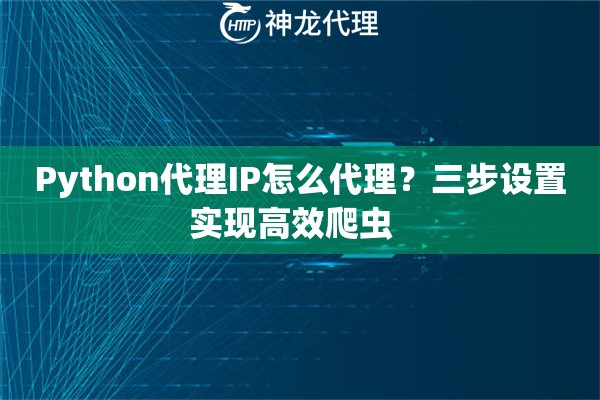Python代理IP怎么代理？三步设置实现高效爬虫  