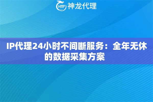 IP代理24小时不间断服务：全年无休的数据采集方案  