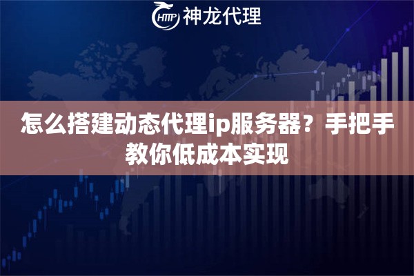 怎么搭建动态代理ip服务器？手把手教你低成本实现