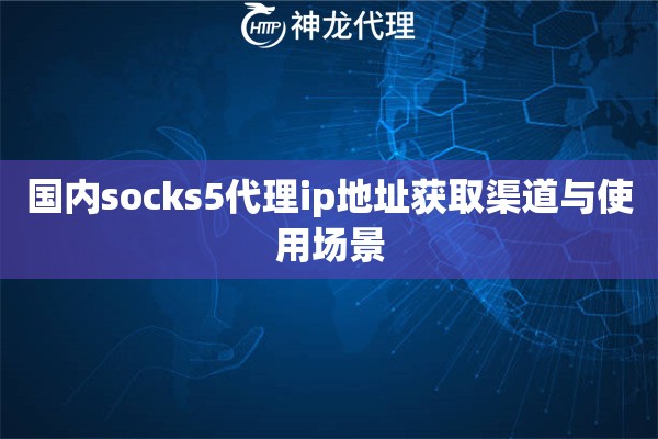 国内socks5代理ip地址获取渠道与使用场景