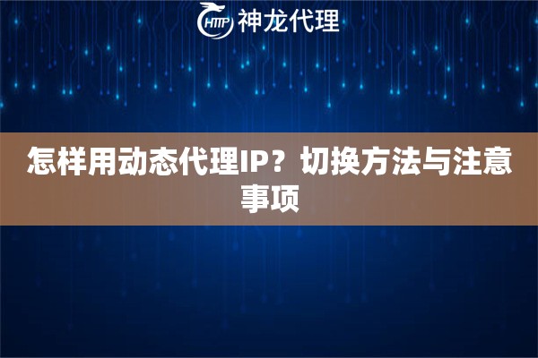 怎样用动态代理IP？切换方法与注意事项