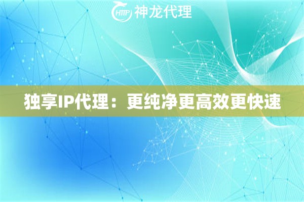 独享IP代理：更纯净更高效更快速