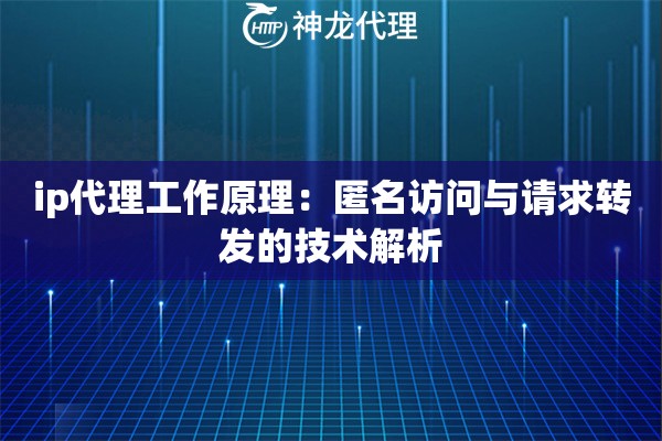 ip代理工作原理：匿名访问与请求转发的技术解析