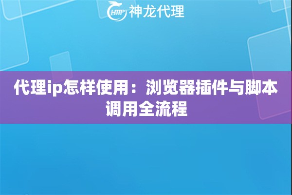 代理ip怎样使用：浏览器插件与脚本调用全流程