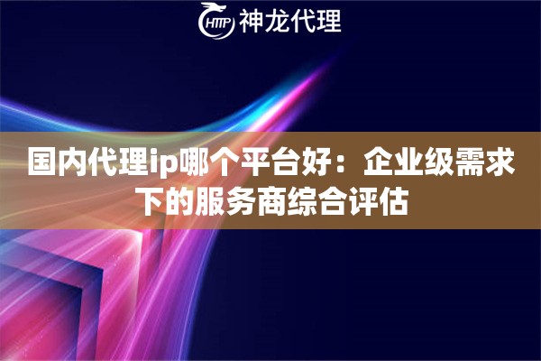 国内代理ip哪个平台好：企业级需求下的服务商综合评估
