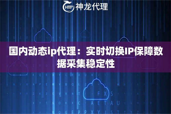 国内动态ip代理：实时切换IP保障数据采集稳定性