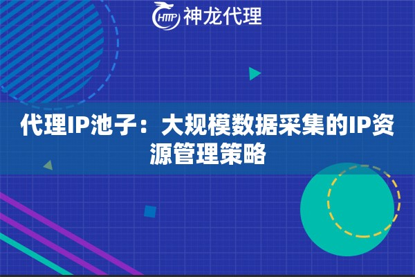 代理IP池子：大规模数据采集的IP资源管理策略