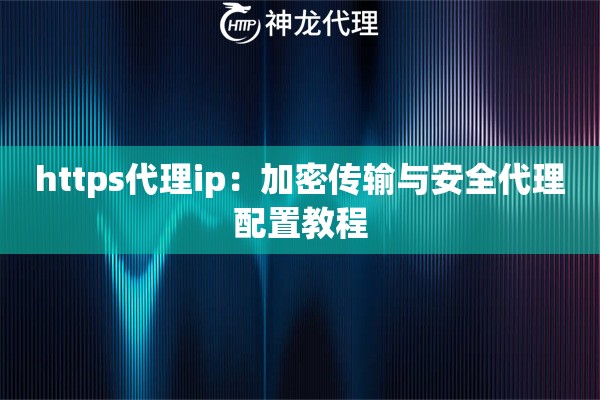 https代理ip：加密传输与安全代理配置教程