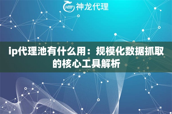ip代理池有什么用：规模化数据抓取的核心工具解析