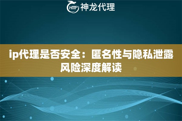 ip代理是否安全：匿名性与隐私泄露风险深度解读