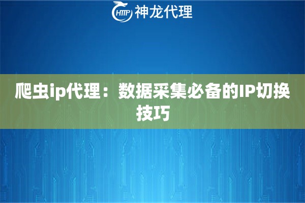 爬虫ip代理：数据采集必备的IP切换技巧