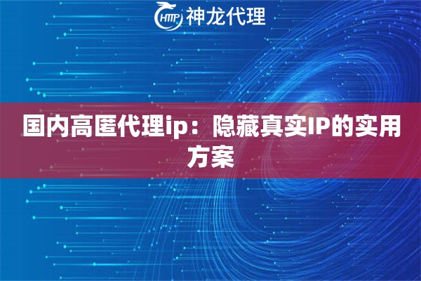 国内高匿代理ip：隐藏真实IP的实用方案