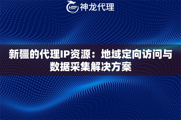 新疆的代理IP资源：地域定向访问与数据采集解决方案