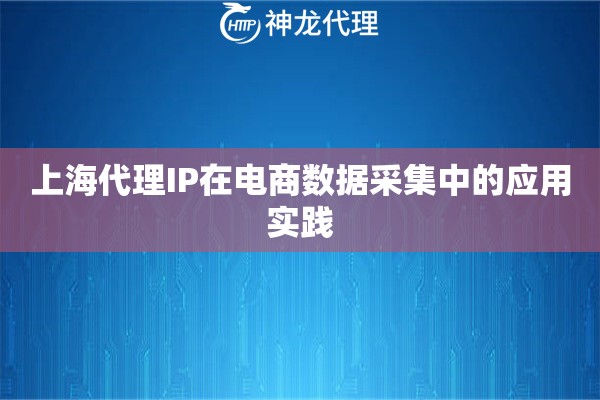 上海代理IP在电商数据采集中的应用实践