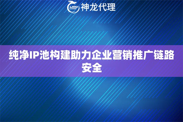 纯净IP池构建助力企业营销推广链路安全