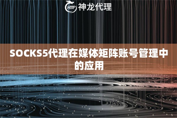 SOCKS5代理在媒体矩阵账号管理中的应用