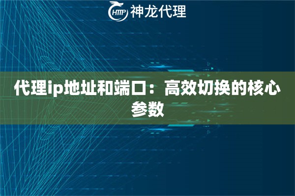 代理ip地址和端口：高效切换的核心参数