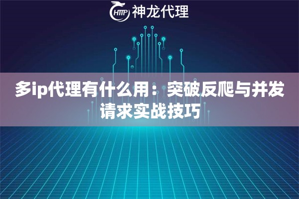多ip代理有什么用：突破反爬与并发请求实战技巧