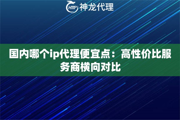 国内哪个ip代理便宜点：高性价比服务商横向对比