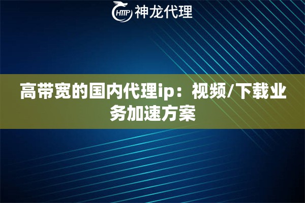 高带宽的国内代理ip：视频/下载业务加速方案