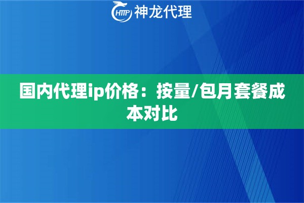 国内代理ip价格：按量/包月套餐成本对比