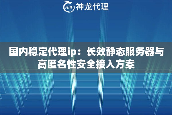 国内稳定代理ip：长效静态服务器与高匿名性安全接入方案