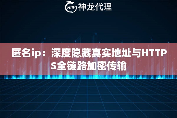 匿名ip：深度隐藏真实地址与HTTPS全链路加密传输