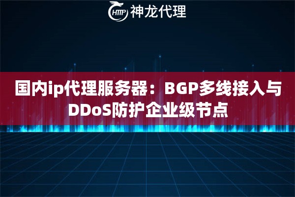 国内ip代理服务器：BGP多线接入与DDoS防护企业级节点