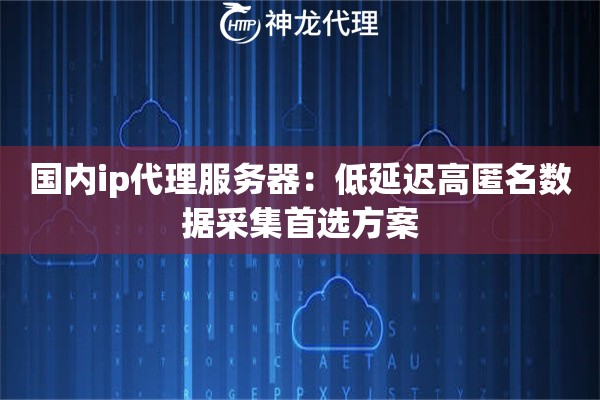 国内ip代理服务器：低延迟高匿名数据采集首选方案