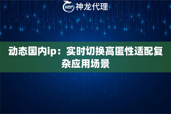 动态国内ip：实时切换高匿性适配复杂应用场景