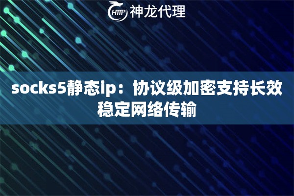 socks5静态ip：协议级加密支持长效稳定网络传输