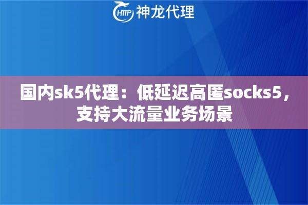 国内sk5代理：低延迟高匿socks5，支持大流量业务场景