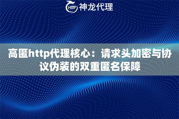 高匿http代理核心：请求头加密与协议伪装的双重匿名保障