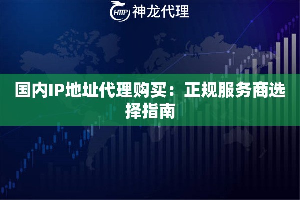 国内IP地址代理购买：正规服务商选择指南