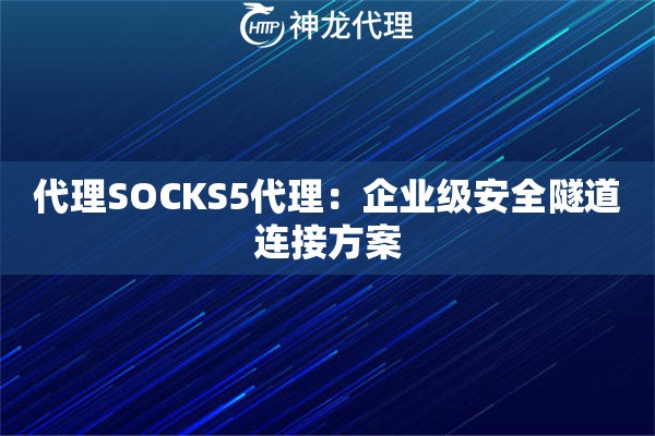 代理SOCKS5代理：企业级安全隧道连接方案