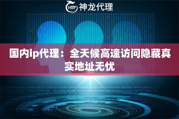 国内ip代理：全天候高速访问隐藏真实地址无忧