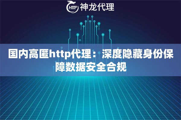国内高匿http代理：深度隐藏身份保障数据安全合规