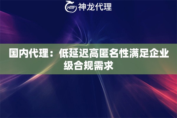 国内代理：低延迟高匿名性满足企业级合规需求