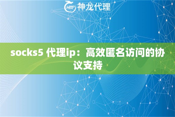 socks5 代理ip：高效匿名访问的协议支持