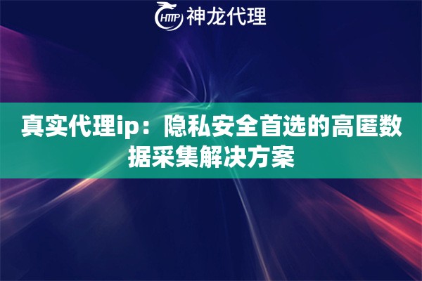 真实代理ip：隐私安全首选的高匿数据采集解决方案