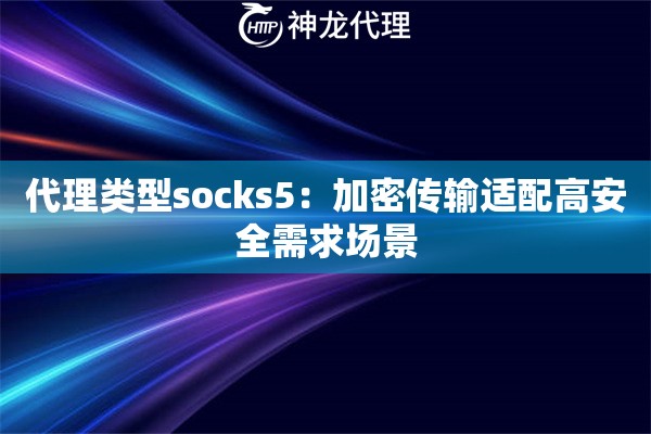 代理类型socks5：加密传输适配高安全需求场景