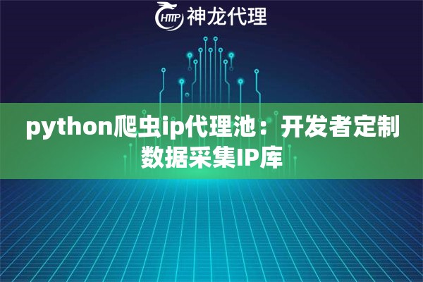 python爬虫ip代理池：开发者定制数据采集IP库