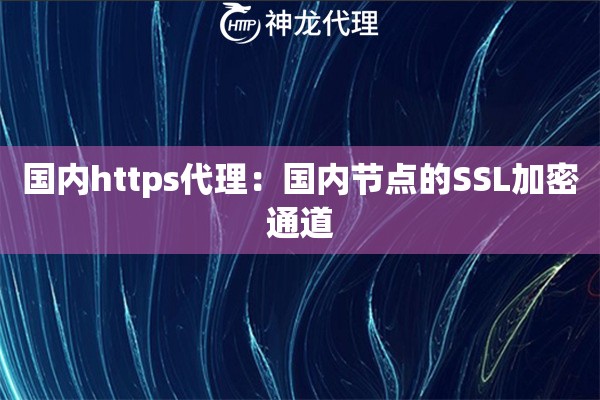 国内https代理：国内节点的SSL加密通道