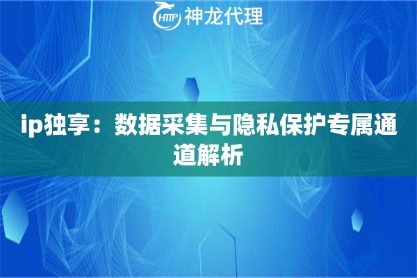 ip独享：数据采集与隐私保护专属通道解析