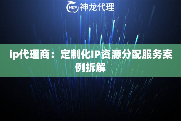 ip代理商：定制化IP资源分配服务案例拆解