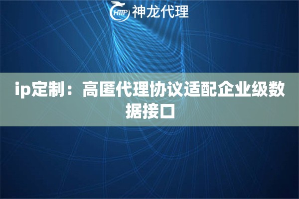 ip定制：高匿代理协议适配企业级数据接口