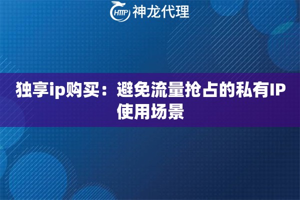 独享ip购买：避免流量抢占的私有IP使用场景