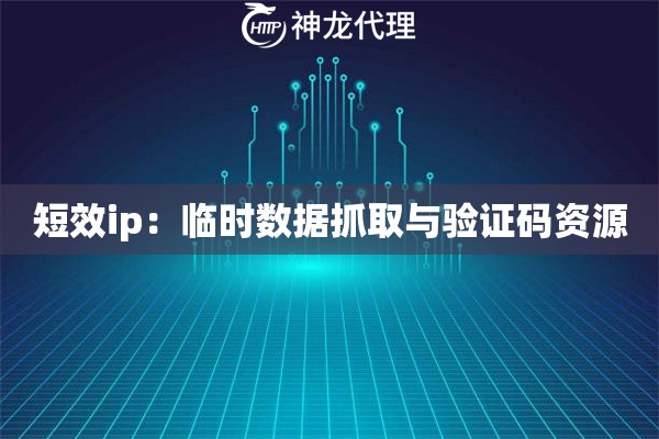 短效ip：临时数据抓取与验证码资源
