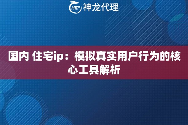 国内 住宅ip：模拟真实用户行为的核心工具解析